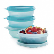 Tupperware ruimteschaaltjes 300ml (4) — blauw